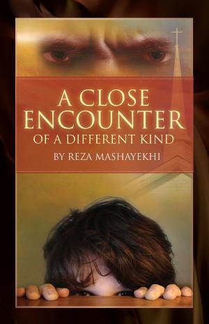 Book cover of A Close Encounter Of a Different Kind