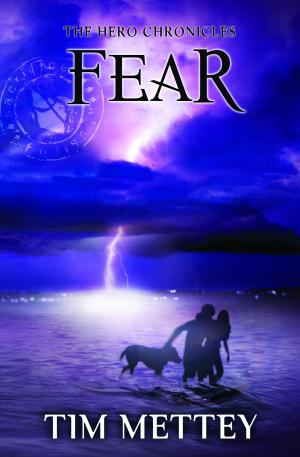 Cover of the book Fear: The Hero Chronicles (Volume 3) by Vanessa Seven