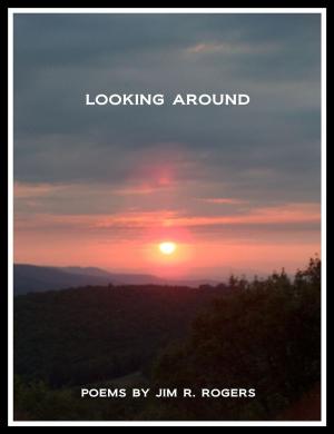 Cover of the book Looking Around by Pam Sheppard Publishing