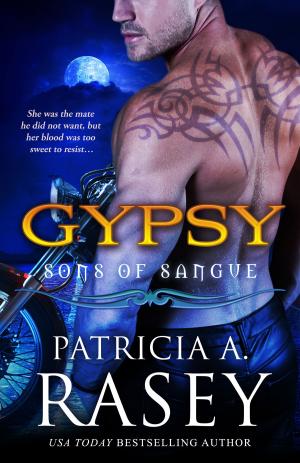 Cover of the book Gypsy by Paula Marshall