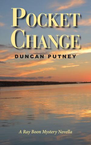 Cover of the book Pocket Change by Susie Rich