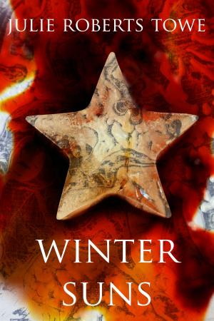 Cover of the book Winter Suns by J.C. Alonso Jr.