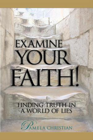 Cover of the book Examine Your Faith! Finding Truth in a World of Lies by Ebo Menno Koerts