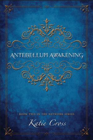 Book cover of Antebellum Awakening