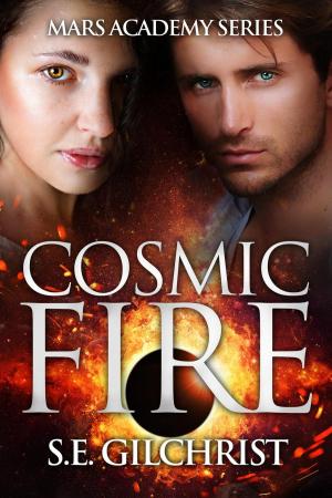Cover of Cosmic Fire