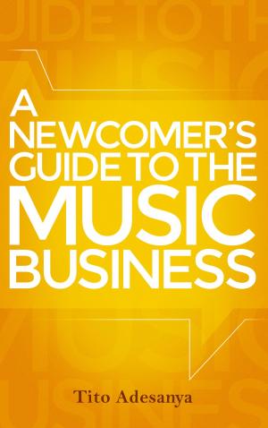 Book cover of A Newcomer's Guide to the Music Business