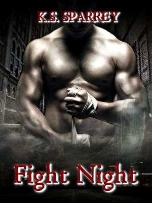 Cover of the book Fight Night by Rachel Astor