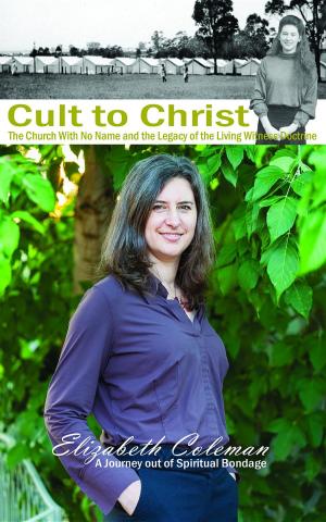 bigCover of the book Cult to Christ by 