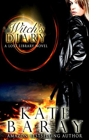 Cover of the book Witch's Diary by Railyn Stone