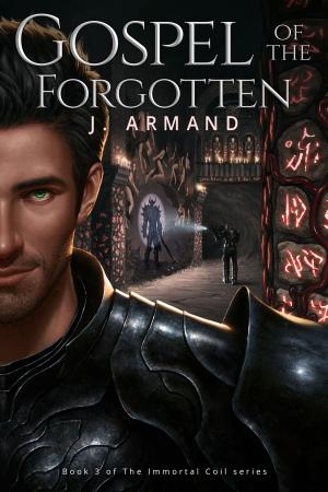 Cover of the book Gospel of the Forgotten by Stefanie N Snider