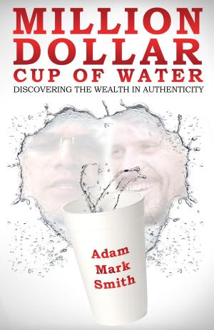 Book cover of Million Dollar Cup of Water