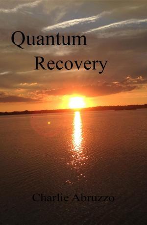 Cover of the book Quantum Recovery by David Grey