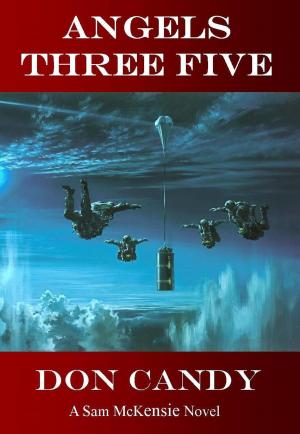 Cover of the book Angels Three Five by C.R. Coburn