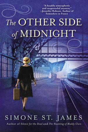 Cover of the book The Other Side of Midnight by Srinivas Rao