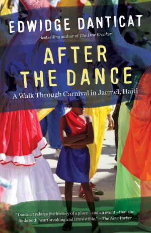 Book cover of After the Dance