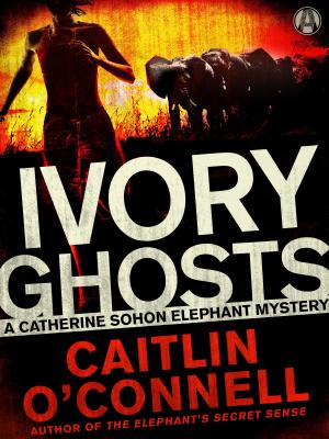 Cover of the book Ivory Ghosts by DJ Schneider