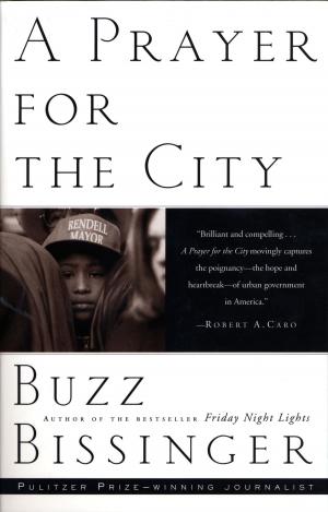 bigCover of the book A Prayer for the City by 
