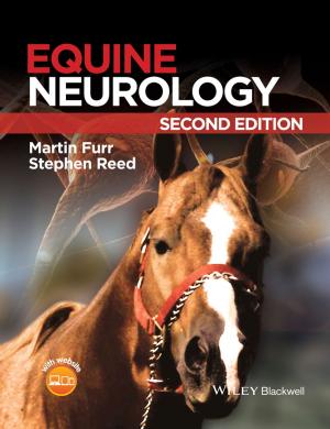 Cover of the book Equine Neurology by Edmond de Hoffmann, Vincent Stroobant