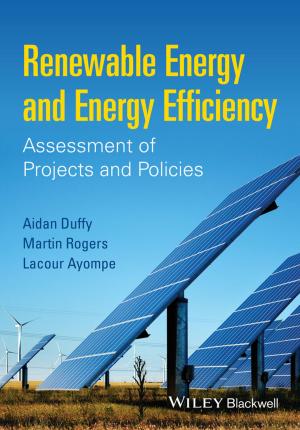 Cover of the book Renewable Energy and Energy Efficiency by Thomas E. Jenkins