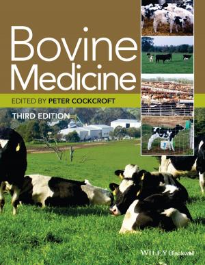 Cover of the book Bovine Medicine by Hiroko M. Chiba, Eriko Sato
