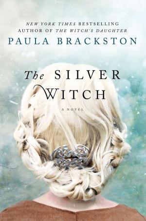 bigCover of the book The Silver Witch by 