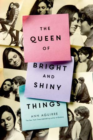 Cover of the book The Queen of Bright and Shiny Things by EM Castellan