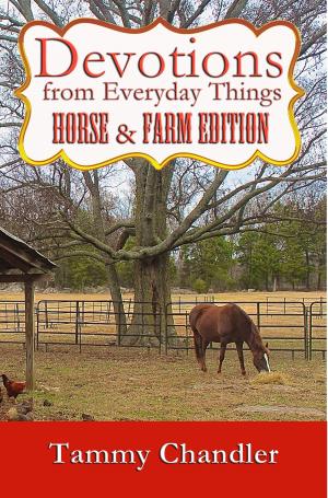 Cover of the book Devotions from Everyday Things: Horse & Farm Edition by J.E. Lowder
