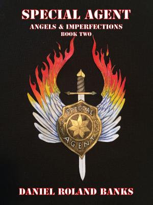 Book cover of Special Agent Angels & Imperfections Book Two