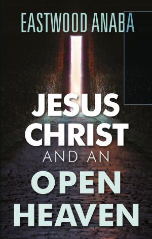 Book cover of Jesus Christ And An Open Heaven