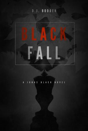 Cover of the book Black Fall by Maureen Smith