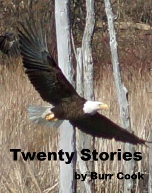 Book cover of Twenty Stories