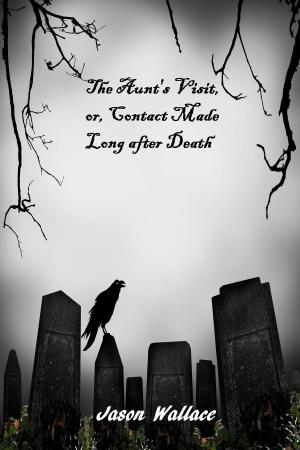 Cover of the book The Aunt's Visit, or, Contact Made Long after Death by Beinsa Douno