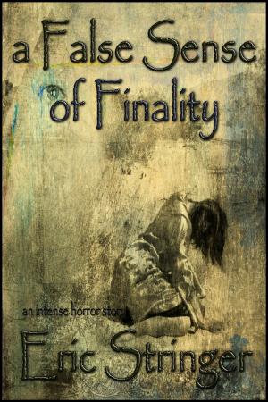 Cover of the book A False Sense of Finality by Nicolas Z Porter