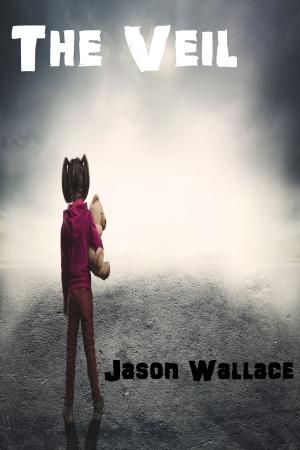 Cover of the book The Veil by Jason Wallace