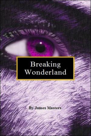 Cover of Breaking Wonderland