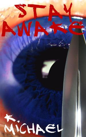 Cover of the book Stay Awake by K. Michael