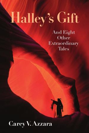 Cover of the book Halley’s Gift And Eight Other Extraordinary Tales by Bloodwitch Luz Oscuria