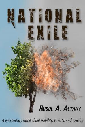 Cover of the book National Exile: A 21st Century Novel about Nobility, Poverty, and Cruelty by Yvonne Crowe