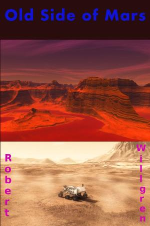 Cover of the book Old Side of Mars by Lori Wolf-Heffner
