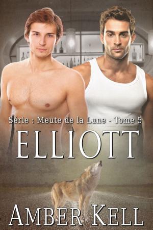 Cover of the book Elliott by Hettie Ivers