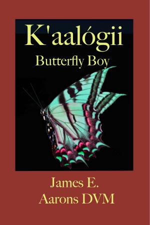 Book cover of K’aalógii Butterfly Boy