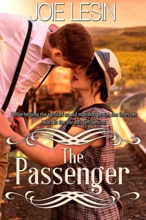 Cover of the book The Passenger by Kayla Gabriel