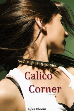 Book cover of Calico Corner