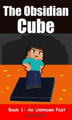 Cover of The Obsidian Cube, Book 1: An Unknown Past