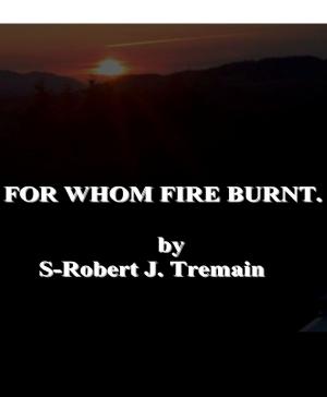Cover of the book For Whom Fire Burnt. by Edward S. Ellis