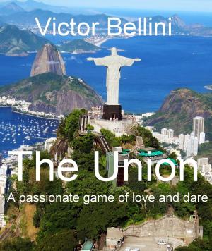 Cover of the book The Union by 川口開治