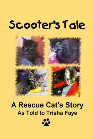 Book cover of Scooter's Tale: A Rescue Cat's Story