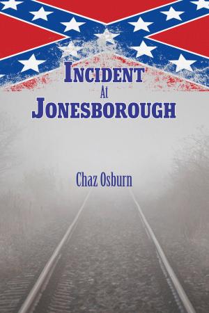 Cover of the book Incident At Jonesborough by Charlotte Link