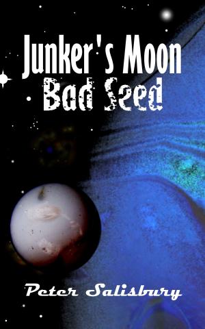 Cover of the book Junker's Moon: Bad Seed by Michael Patrick Hicks