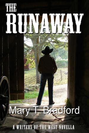 Cover of the book The Runaway by Laura du Pre